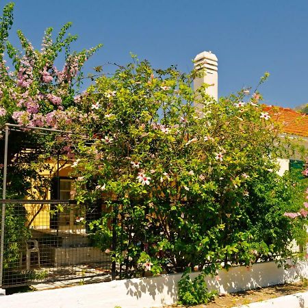 דירות איה אפימיה House With Garden Near The Sea מראה חיצוני תמונה