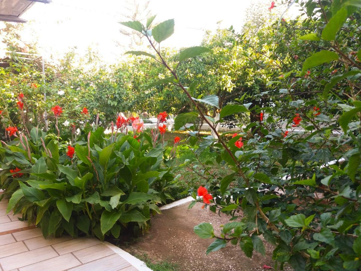 דירות איה אפימיה House With Garden Near The Sea מראה חיצוני תמונה