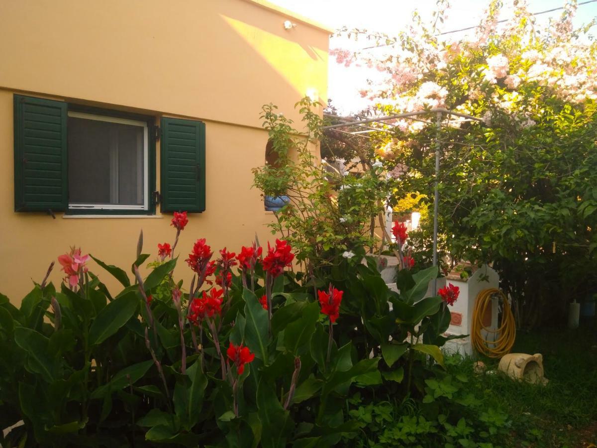 דירות איה אפימיה House With Garden Near The Sea מראה חיצוני תמונה