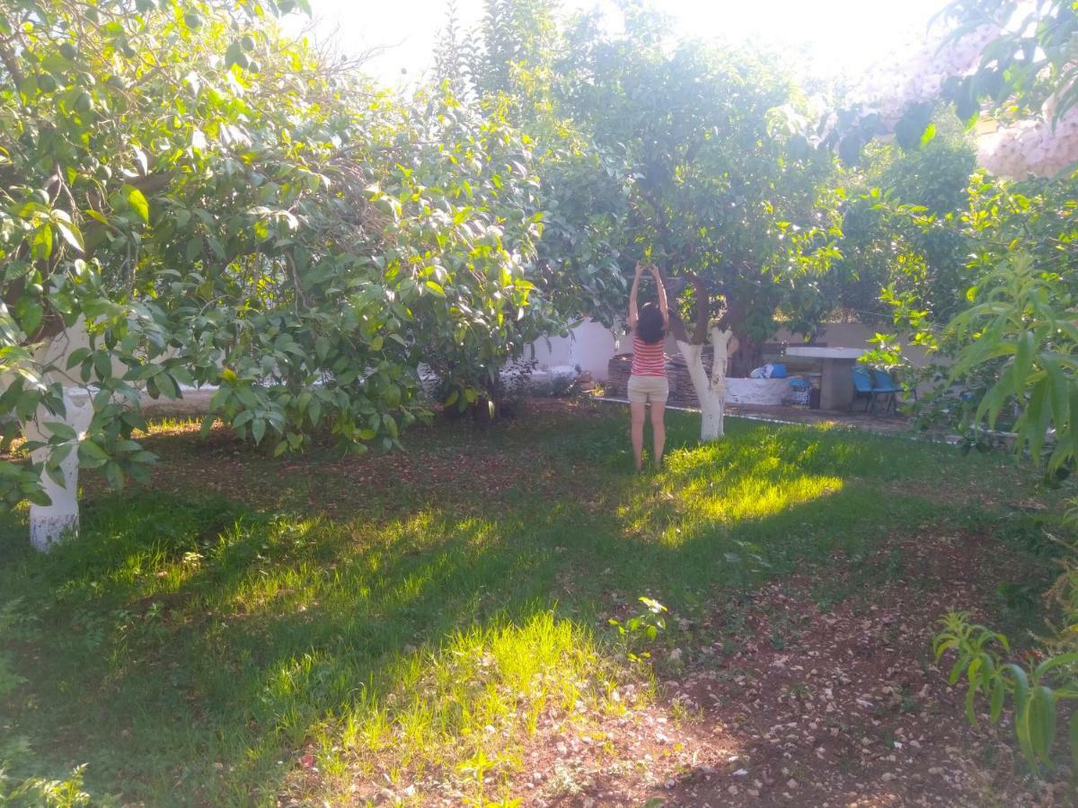 דירות איה אפימיה House With Garden Near The Sea מראה חיצוני תמונה